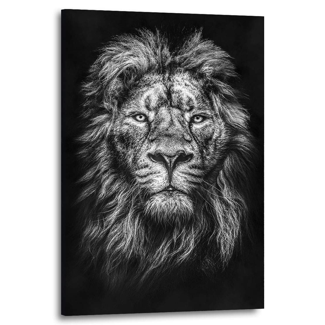 Wandbild Druck auf Plexiglas® Acryl Hochformat 70x100 Löwe Porträt 