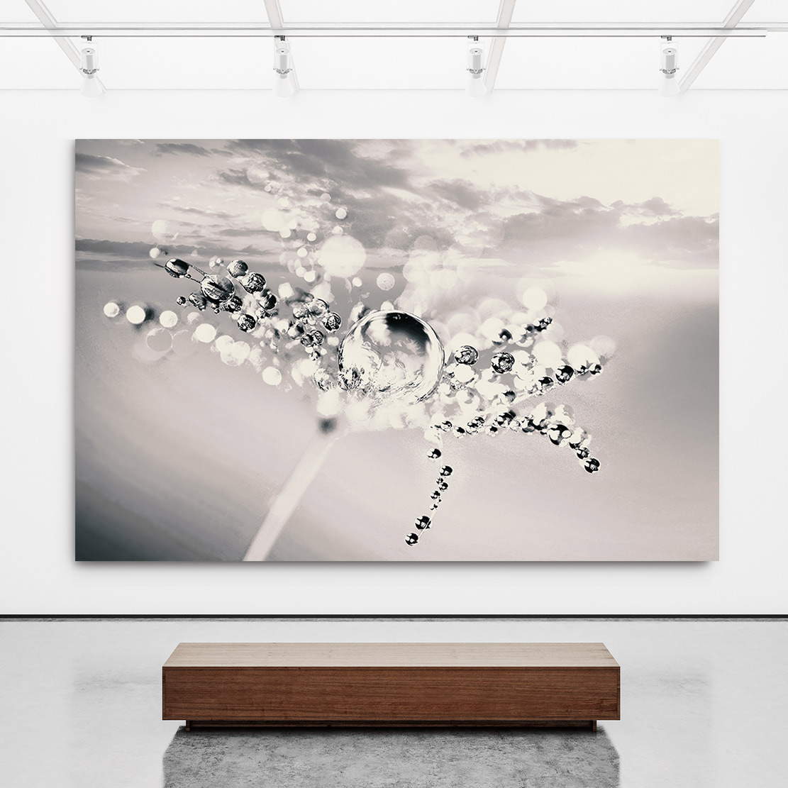 Leinwand-Bilder Wandbild Canvas Kunstdruck 125x50 Pusteblume Pflanzen 