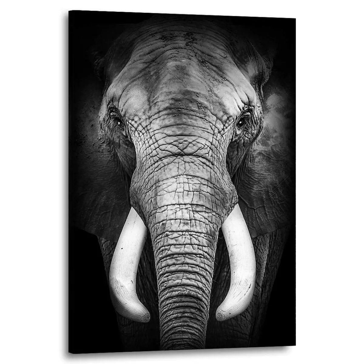 Elefant Leinwandbilder Elefant Leinwandbilder