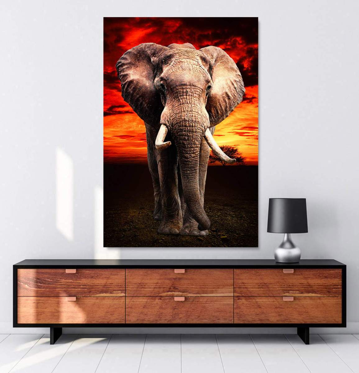 wandbild-elefant