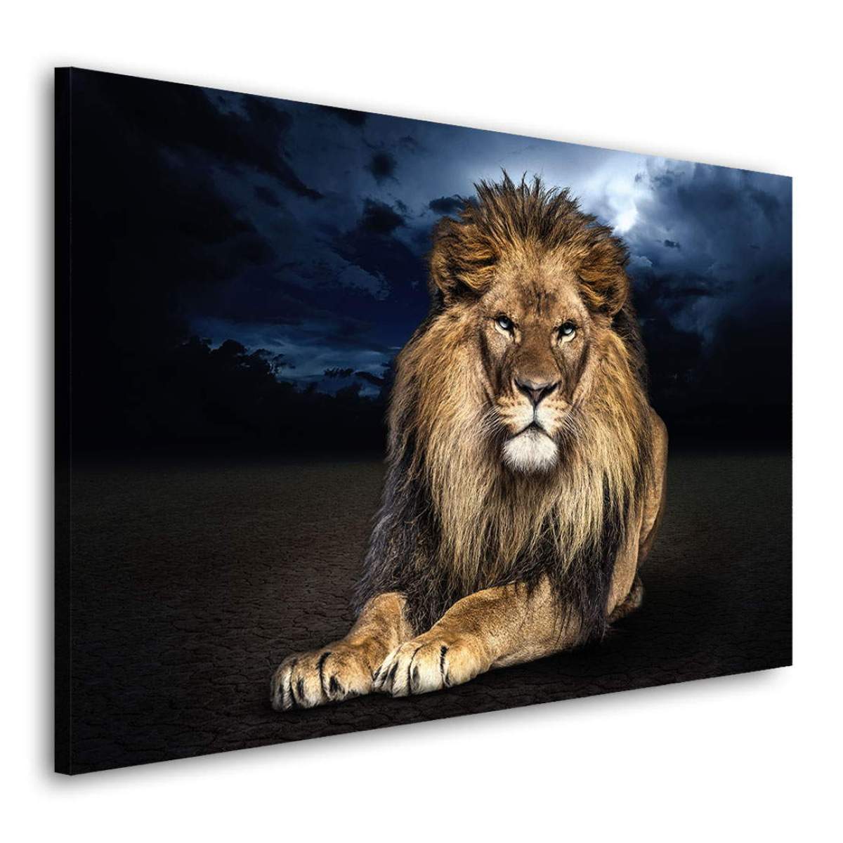 Löwen Motiv Wandbild