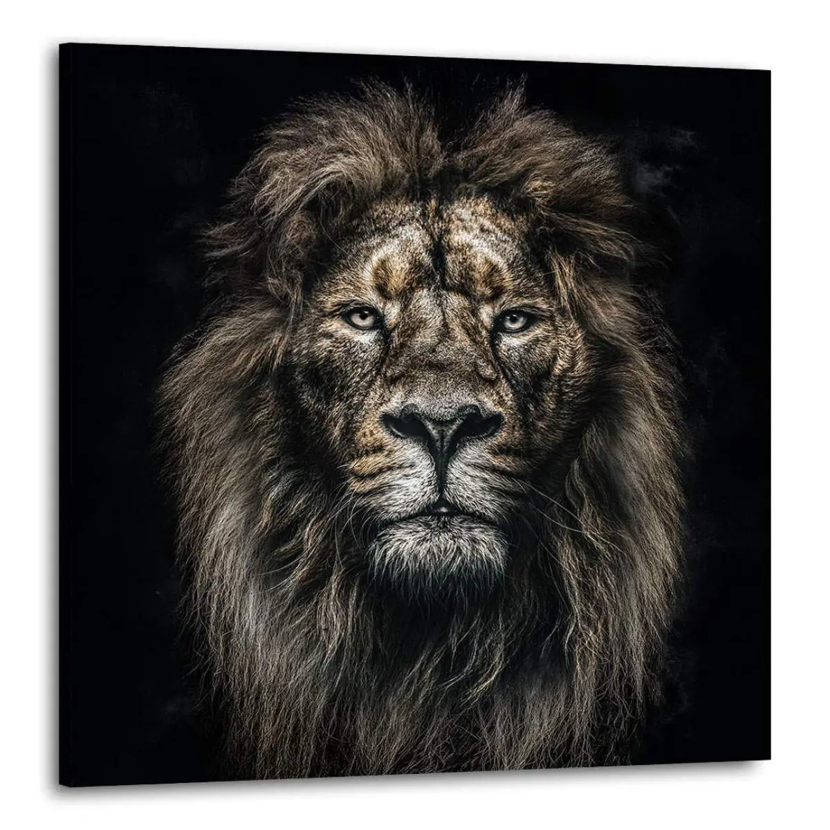 Wandbild Löwe Kunstgestalten24.de Wandbild Löwe Kunstgestalten24.de
