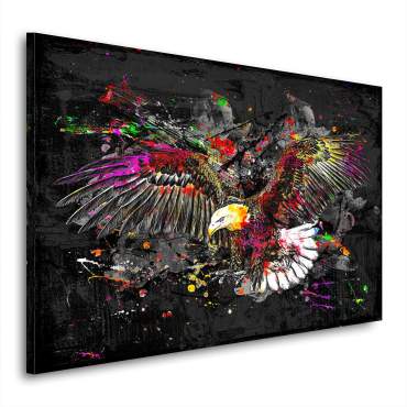 Wandbild Leinwandbild Adler Color
