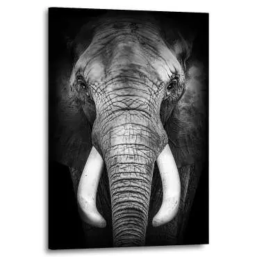 Wandbild Leinwandbild Elefant
