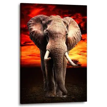 Wandbild Leinwandbild Elefant Sky