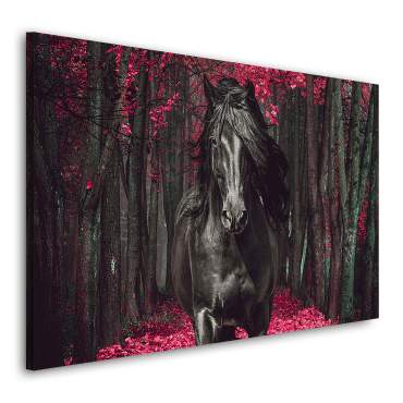 Wandbild Leinwandbild Pferd Waldlichtung