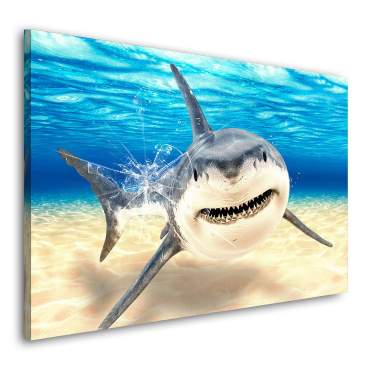 Wandbild Leinwandbild Hai