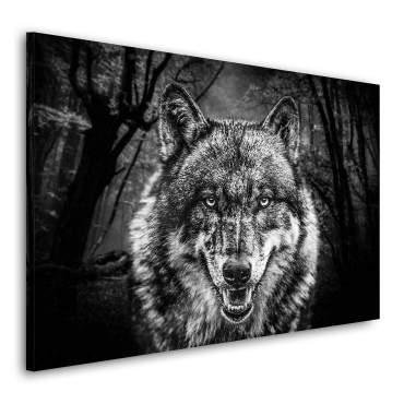 Wandbild Leinwandbild Wolf Black and White